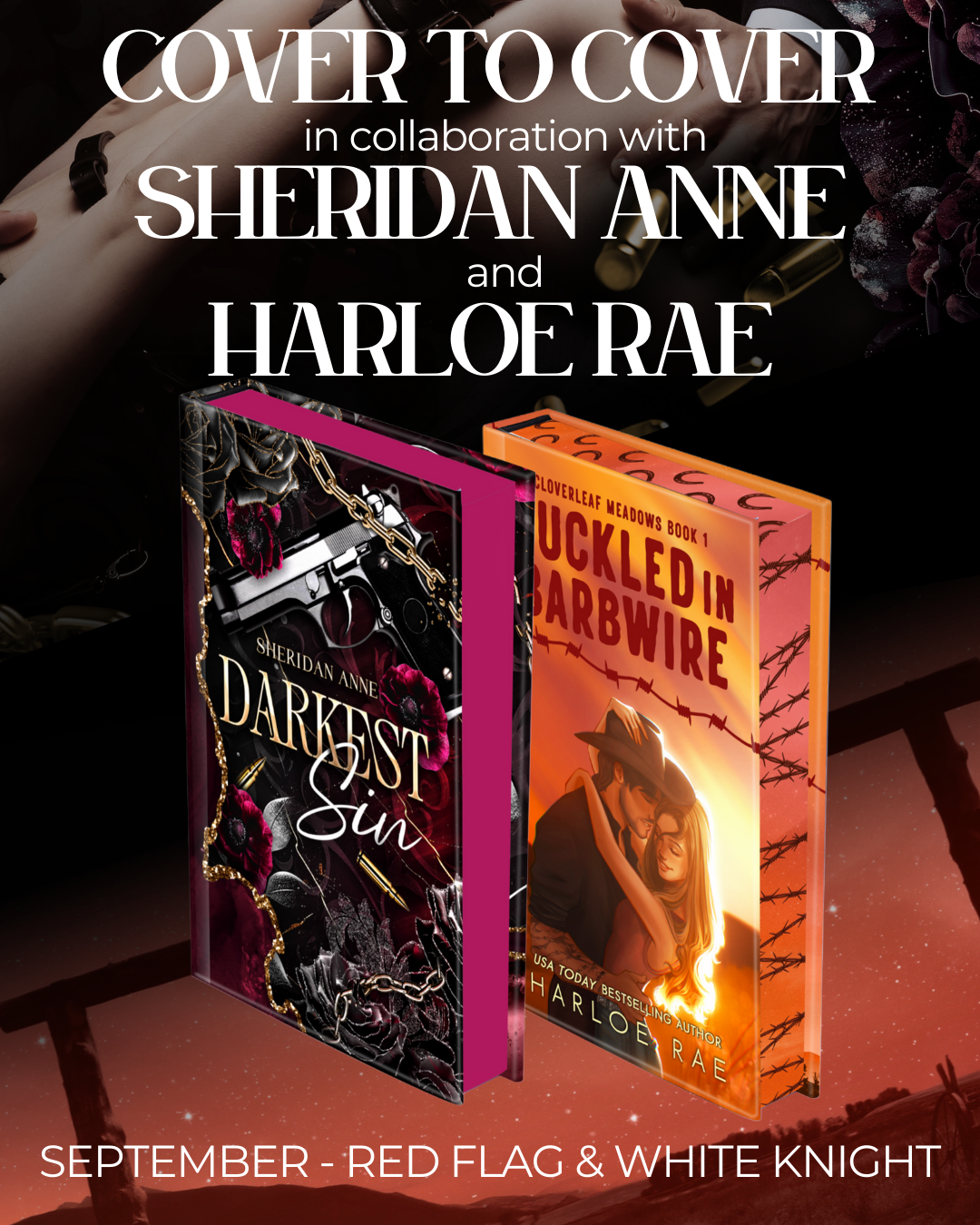 September - Paperback: Red Flags & White Knights - Subscription Box